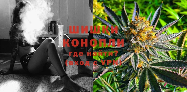 молекула духа Богданович