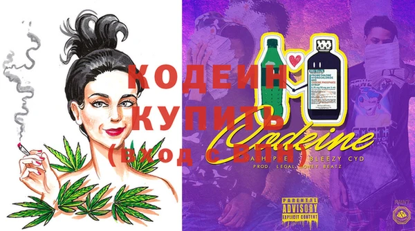 хмурый Богородицк