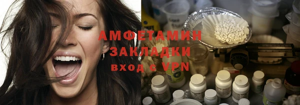 молекула духа Богданович