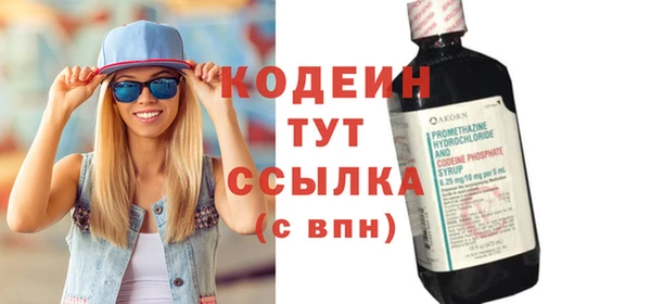 молекула духа Богданович