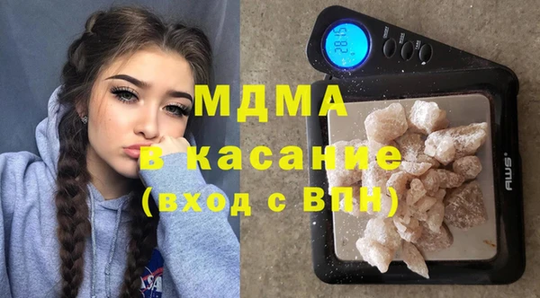 молекула духа Богданович