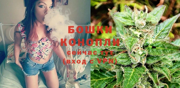 хмурый Богородицк