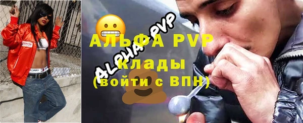 молекула духа Богданович