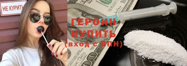 молекула духа Богданович