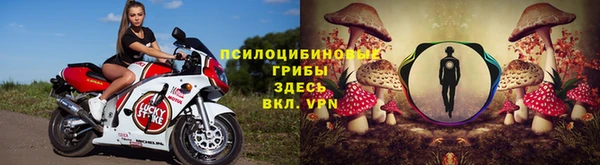 ПСИЛОЦИБИНОВЫЕ ГРИБЫ Бородино